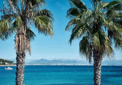 Sweet Masion Blanche Juan les pins (1)