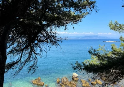 Sweet Masion Blanche Juan les pins (3)