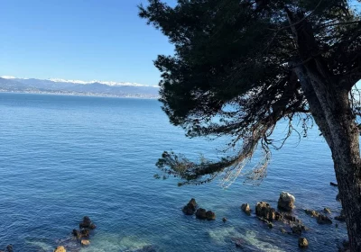 Sweet Masion Blanche Juan les pins (5)